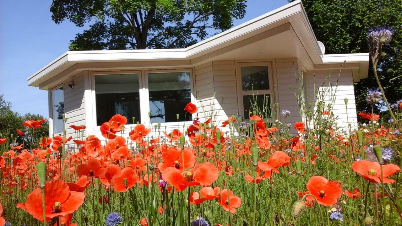 Het Findament Tiny House Villa Hilversum Exterior foto